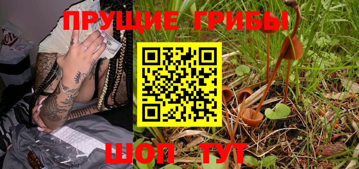 Среднеуральск  где можно купить   Вход с VPN  Псилоцибиновые грибы Psilocybine cubensis 